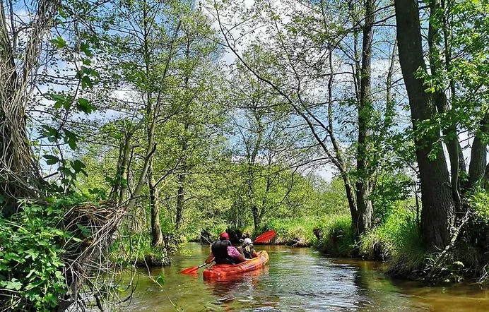 Kajakarze na rzece